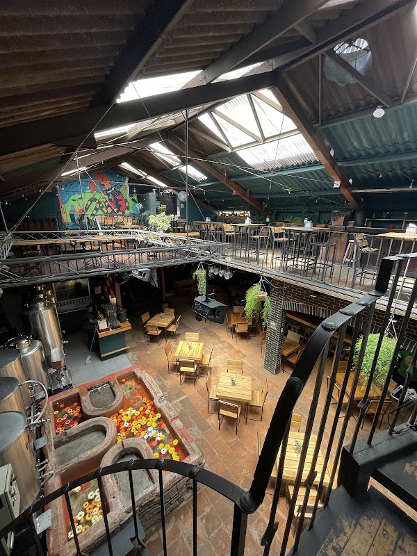 Antigua Brewing Company 3