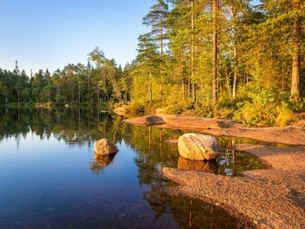 Nuuksio National Park Panoramic View