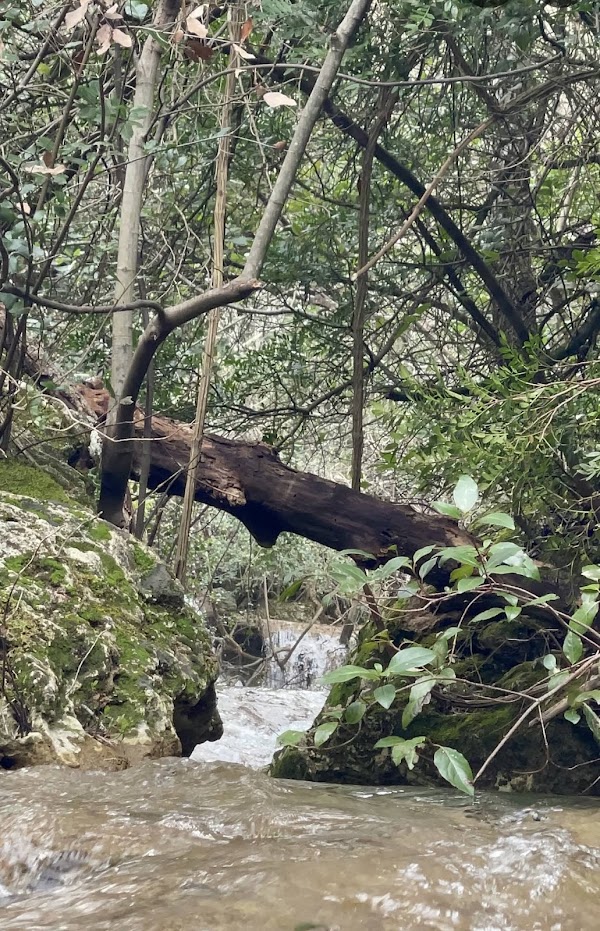 Cascata S'ogliu Ermanu 4
