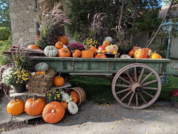 Strom's Farm & Bakery 1