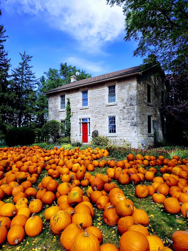 Strom's Farm & Bakery 5
