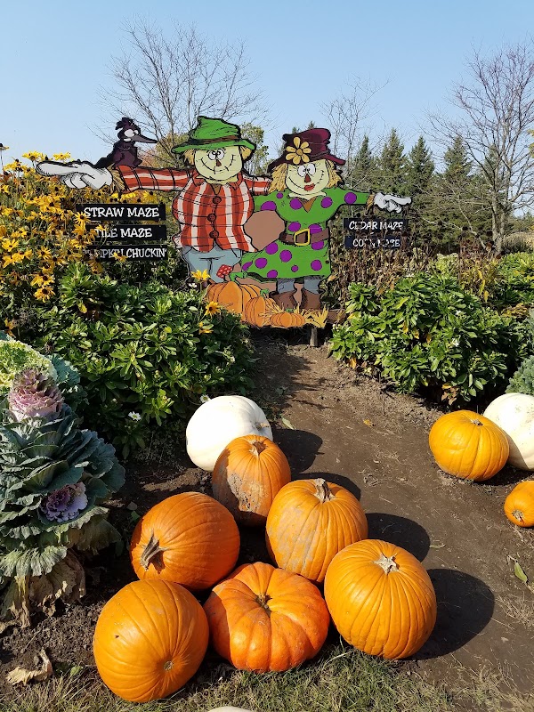 Strom's Farm & Bakery 4
