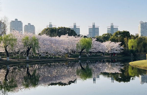 Century Park