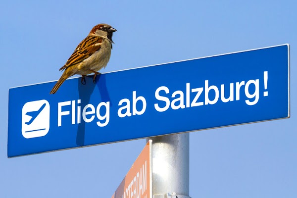 Salzburg Airport