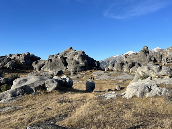 Castle Hill / Kura Tawhiti Conservation Area 1