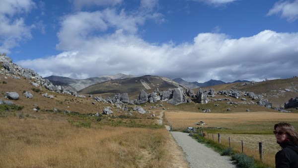 Castle Hill / Kura Tawhiti Conservation Area 5