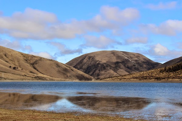 Castle Hill / Kura Tawhiti Conservation Area 2