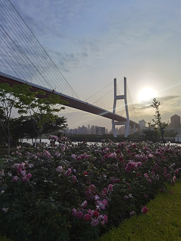 Shanghai Dongjiang Sports Club 5