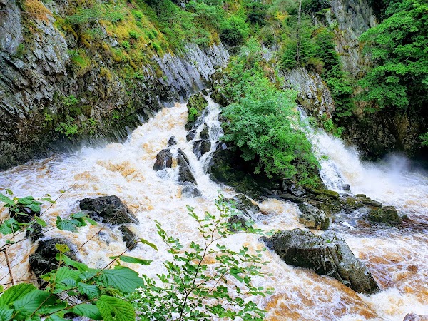 Wales 11