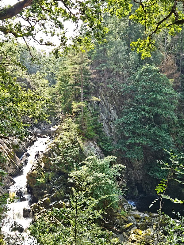 Conwy Falls 4