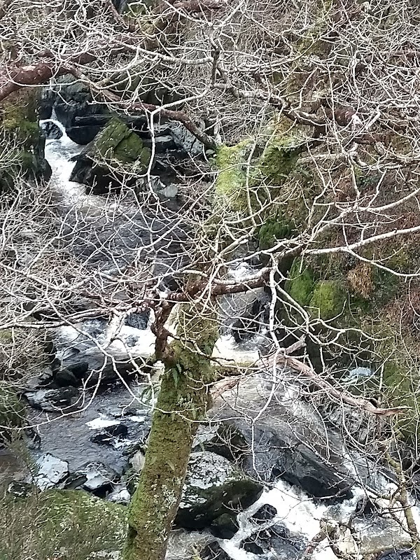 Conwy Falls 3