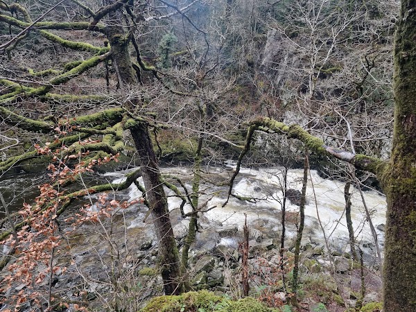 Conwy Falls 2