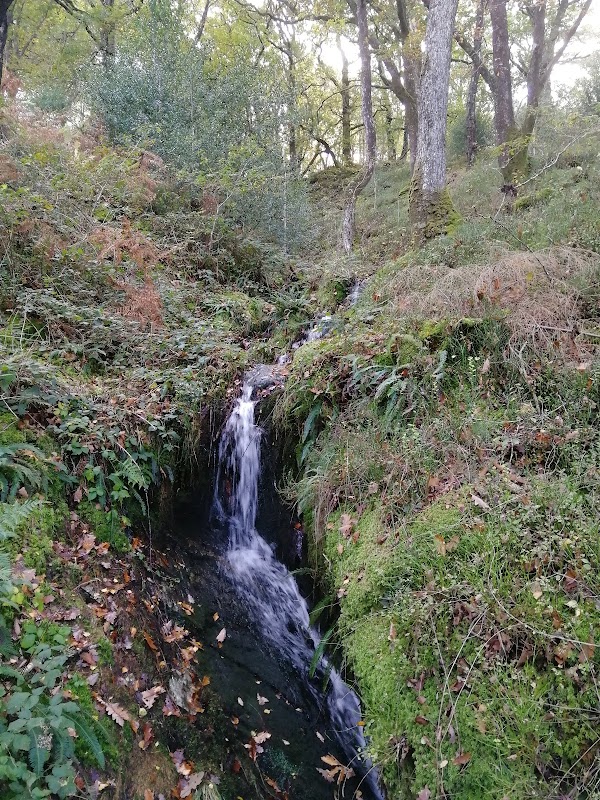 Ceunant Llennyrch National Nature Reserve 4