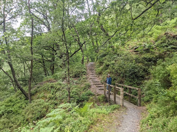 Ceunant Llennyrch National Nature Reserve 3