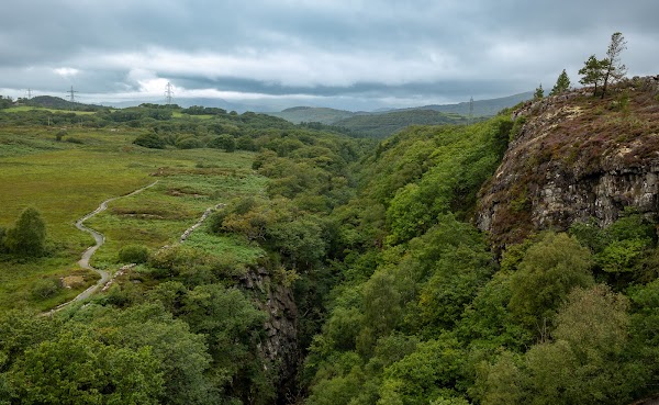 Ceunant Llennyrch National Nature Reserve 2