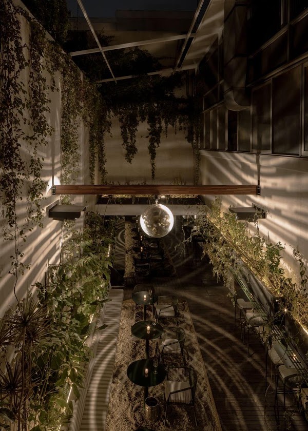 Selva Wine Bar 4