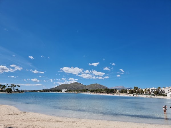 Alcudia beach