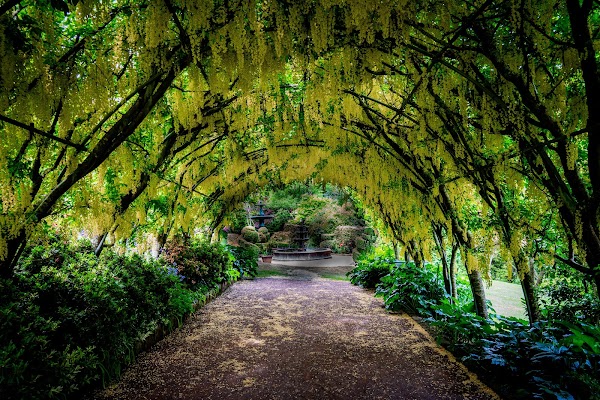 Forest Glade Gardens