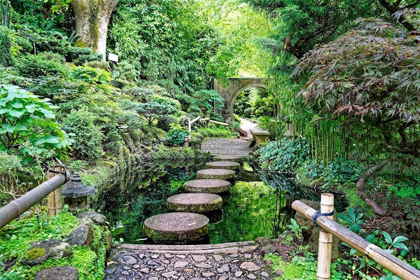 Forest Glade Gardens 5