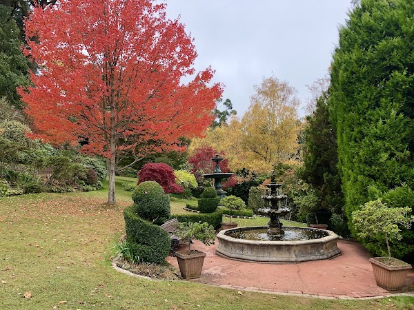 Forest Glade Gardens 3