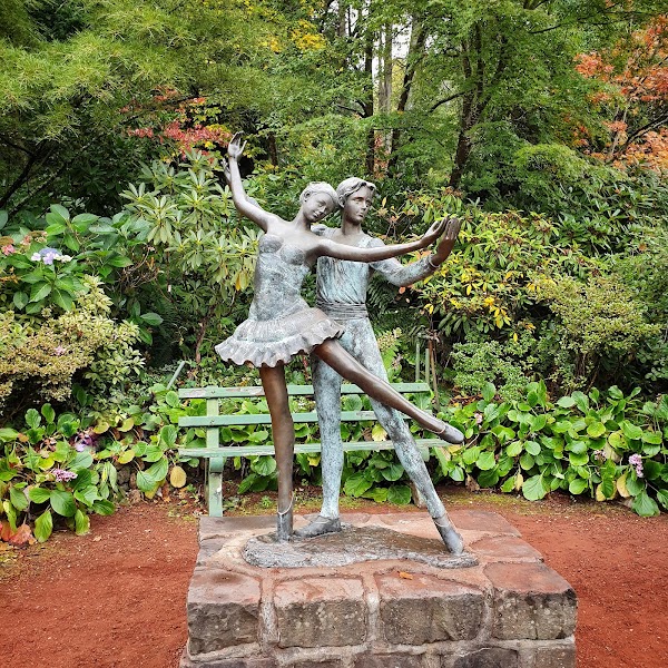 Forest Glade Gardens 2