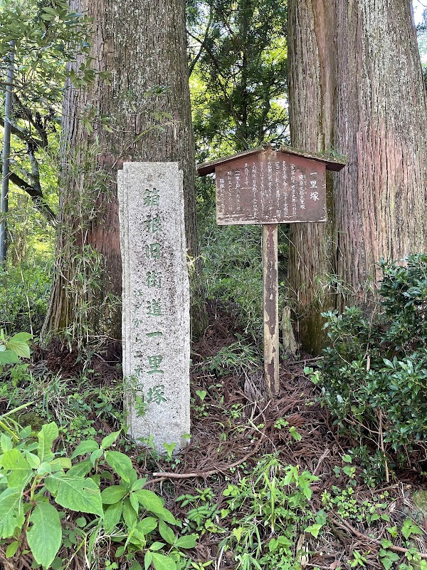 Old Tōkaidō Road Ancient Cedar Avenue - East End 5