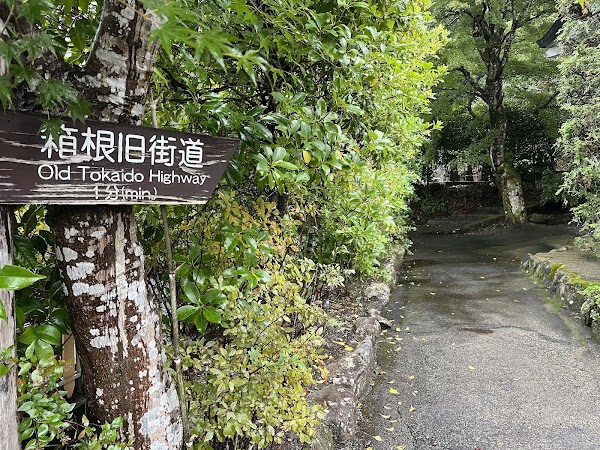 Old Tōkaidō Road Ancient Cedar Avenue - East End 4