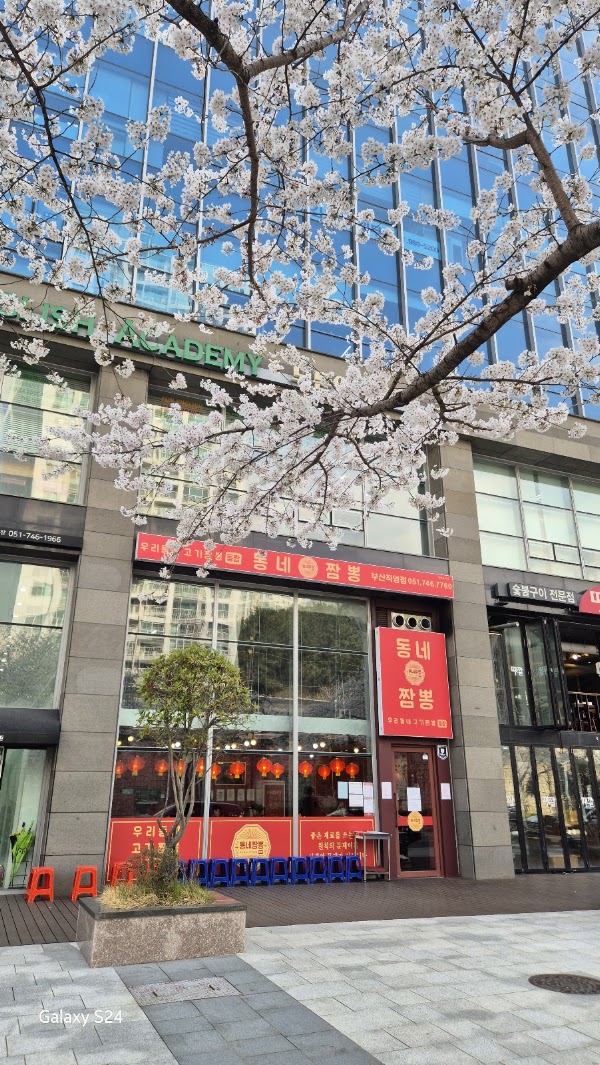 Busan 11