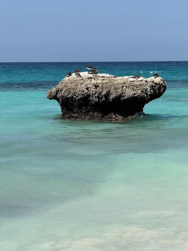 Shoab Beach