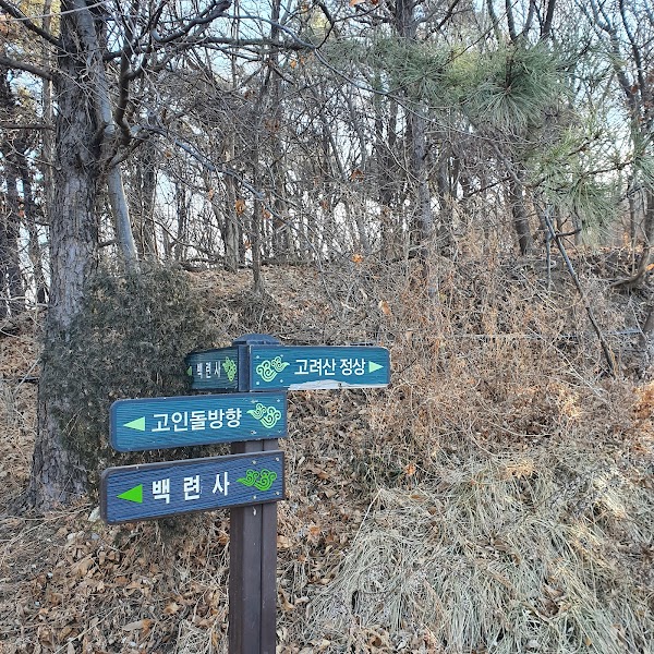Goryeosan 2