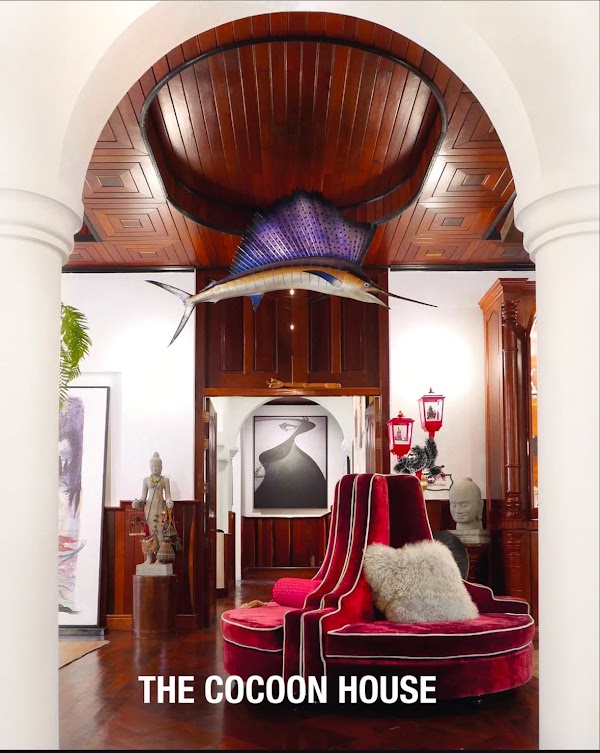 The Cocoon House - Art Gallery, Concept Store, Skateshop and Fashion Vintage - by Cocoon Limited