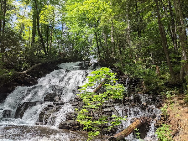 Trahlyta Falls Spur Trail 1