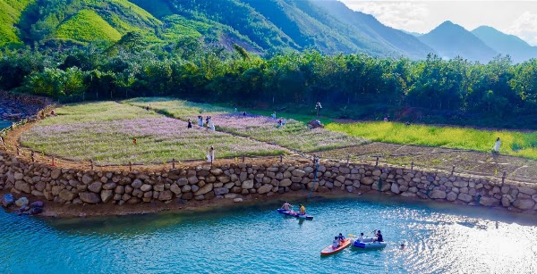 Leaf Village & Farm - Làng Lá