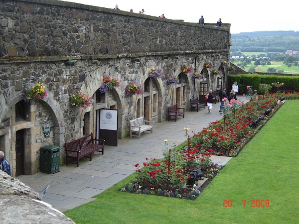Stirling 5