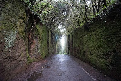 Parque Rural de Anaga