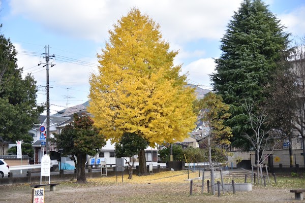 Ichijoji Park 1