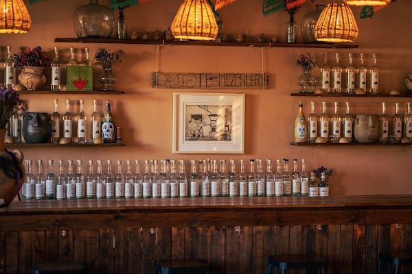 Quiote Mezcaleria - Tasting Room 1