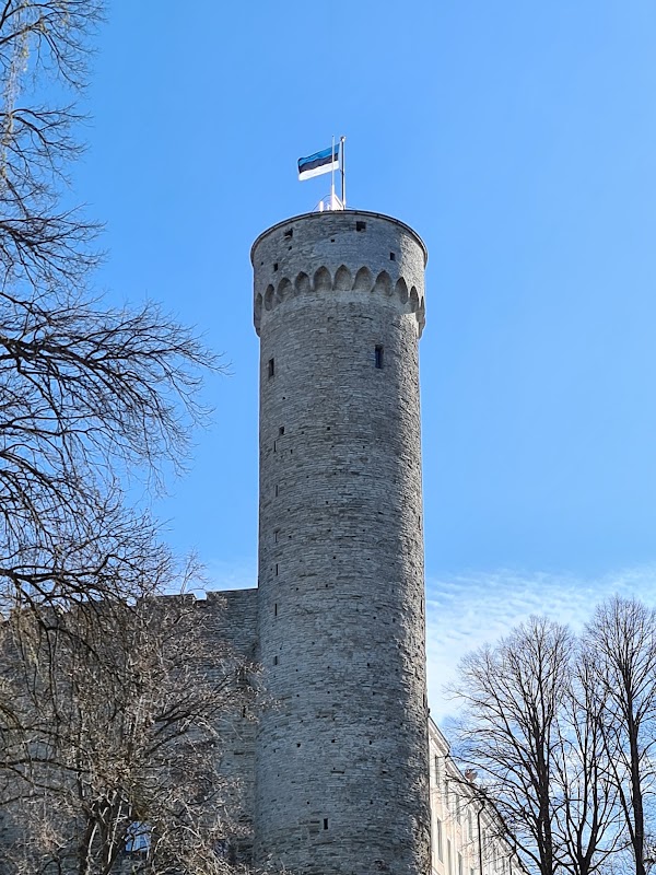 Piiskopi tänav 1