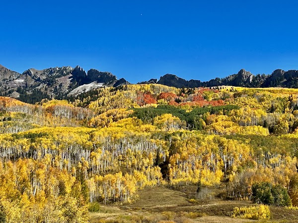 Colorado 25