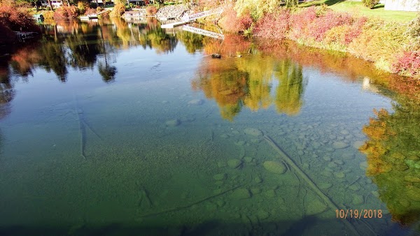 Lake Cowichan 4