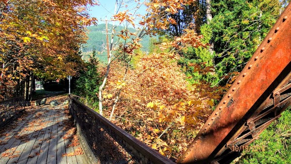 Lake Cowichan 3