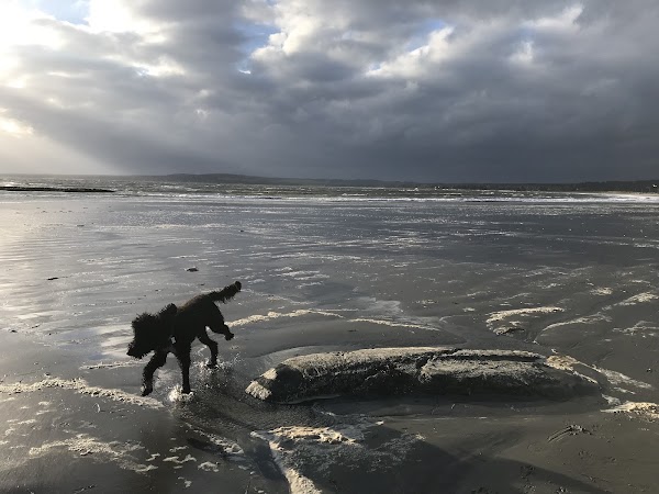 Crescent Beach 4