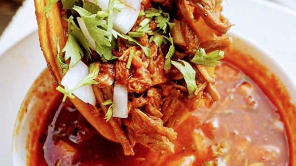 Birria LES 5