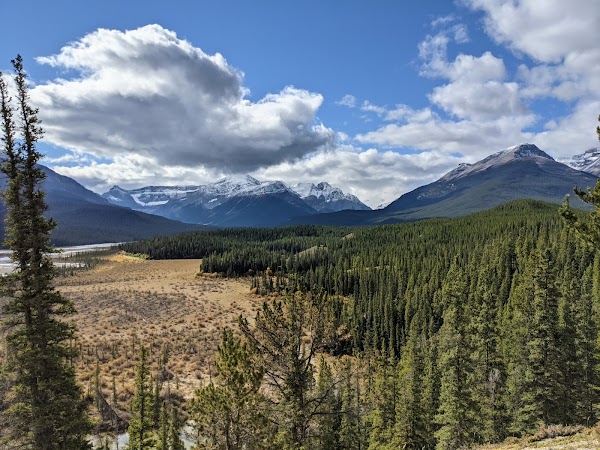Mistaya Canyon Trail Head - Banff 4