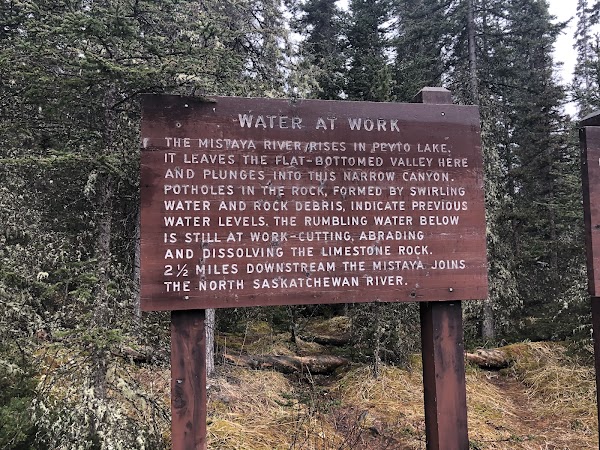 Mistaya Canyon Trail Head - Banff 3