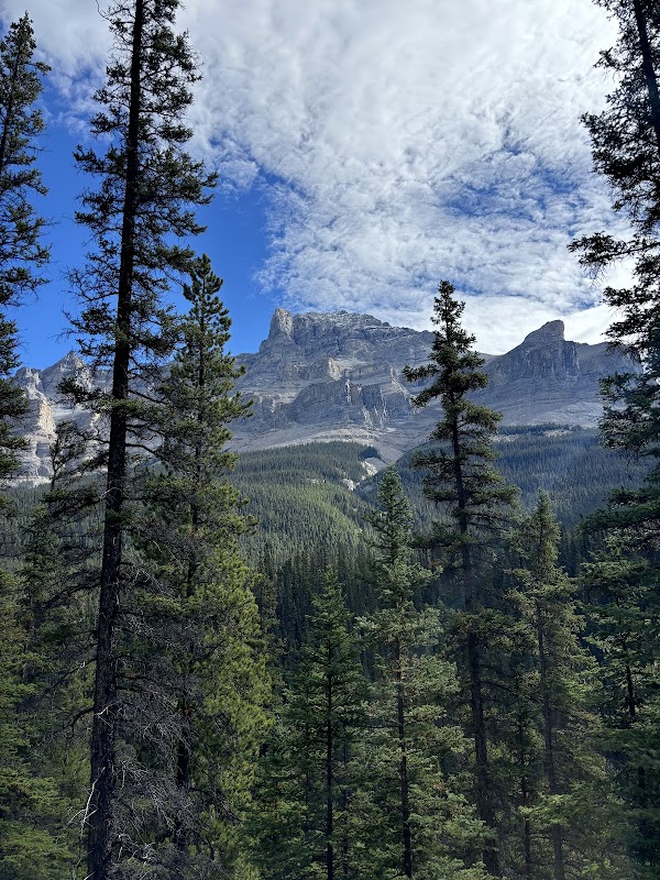 Mistaya Canyon Trail Head - Banff 2