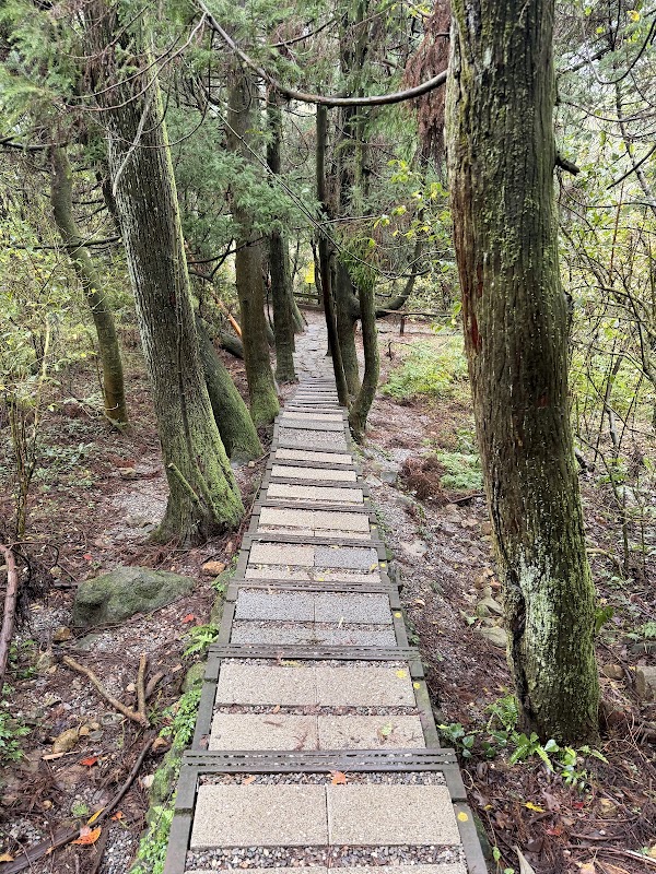 雞心崙