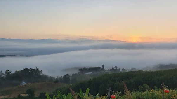 Yun Lai Viewpoint 4