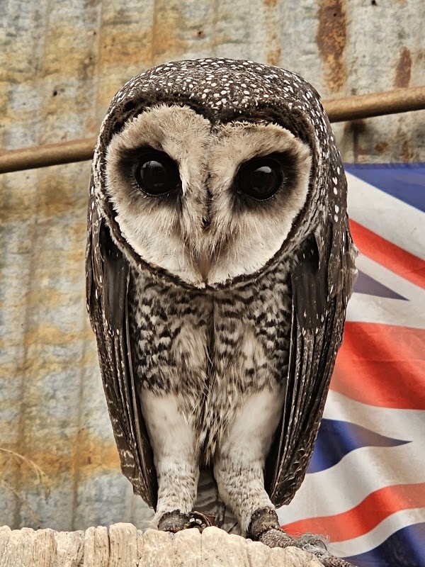 Caversham Wildlife Park 3