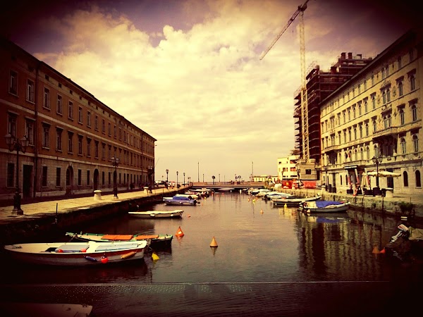 Trieste 3